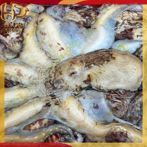 bạch tuộc khổng lồ