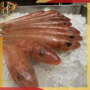 cá bống đỏ - 1