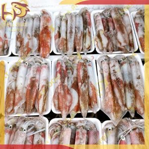 mực ghim cấp đông 1