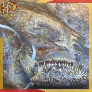 mực nang mực mai